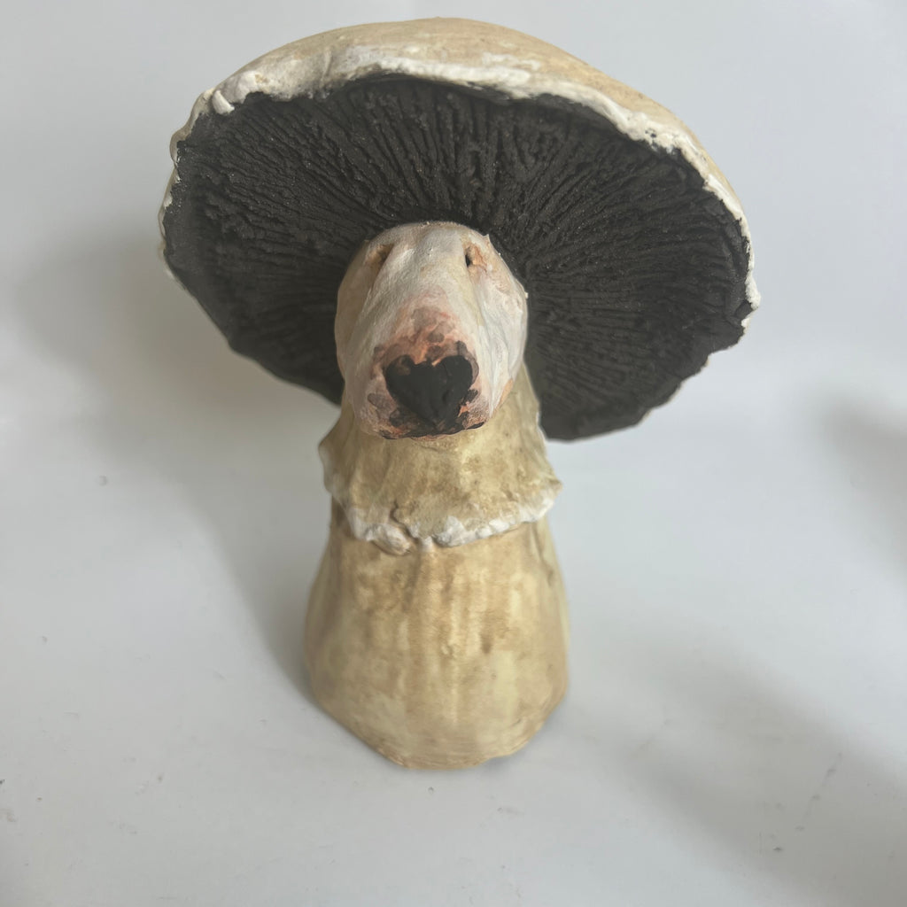 Mushroom bully made to order -portobello