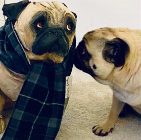 Commission a Full Body Dog Sculpture