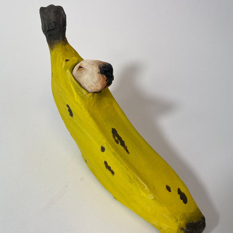 Buffoonery banana  bully