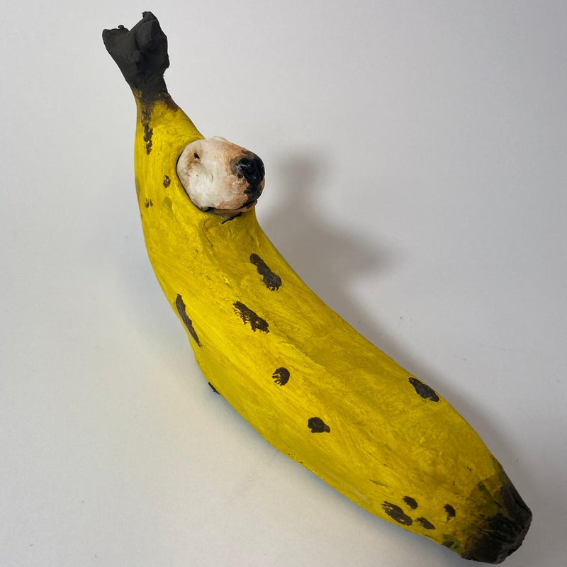 Buffoonery banana  bully