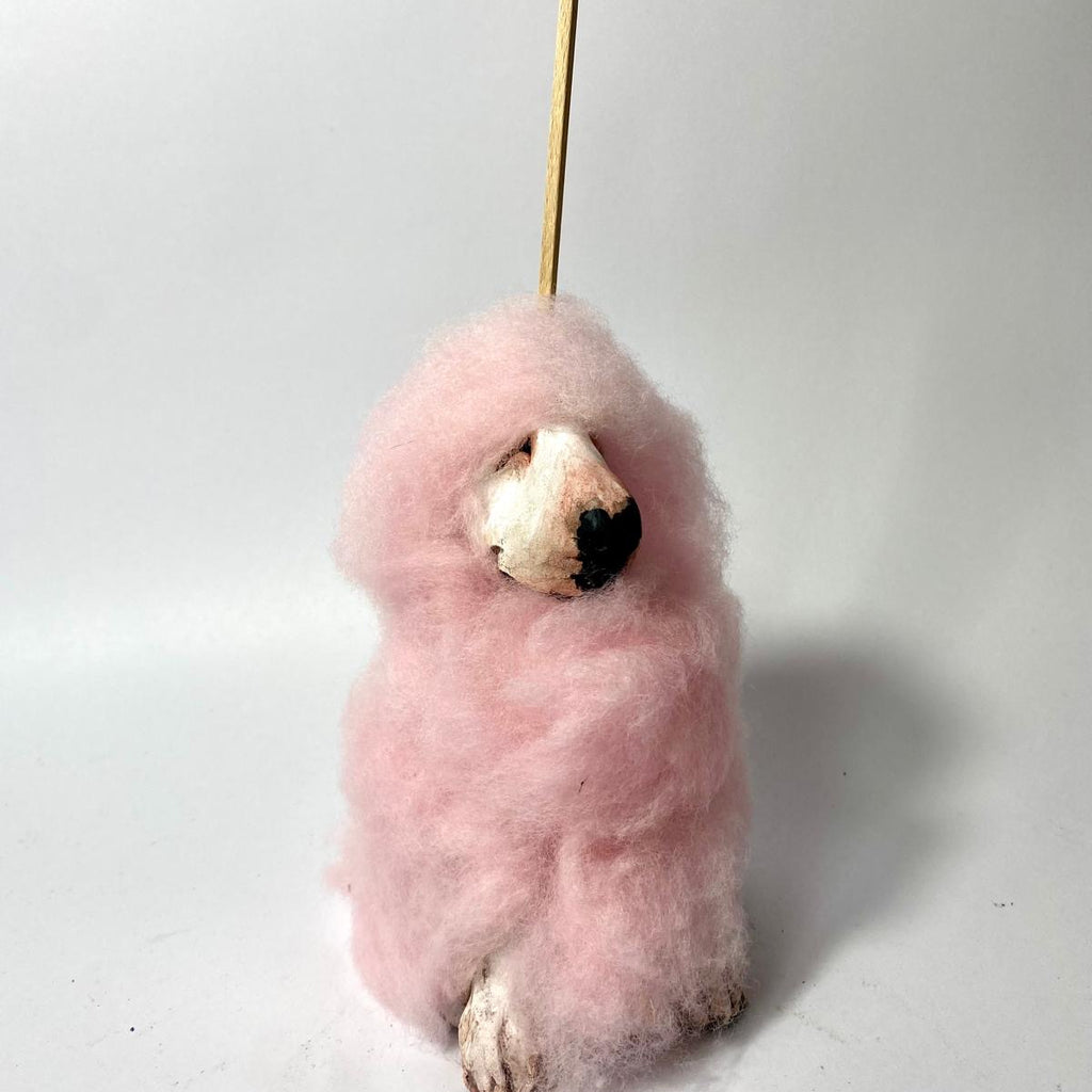 Buffoonery candyfloss