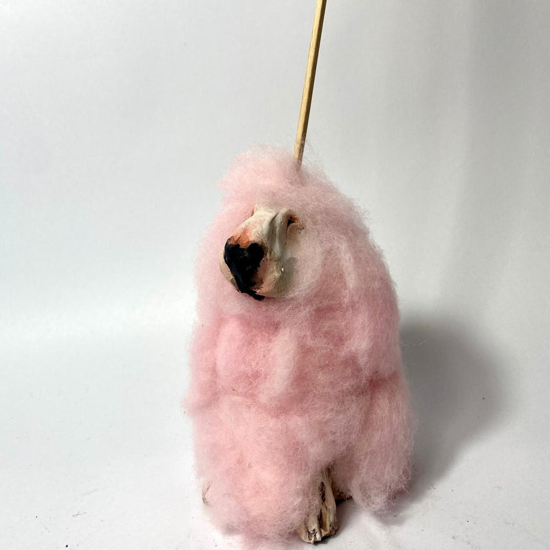 Buffoonery candyfloss