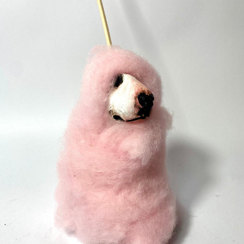 Buffoonery candyfloss