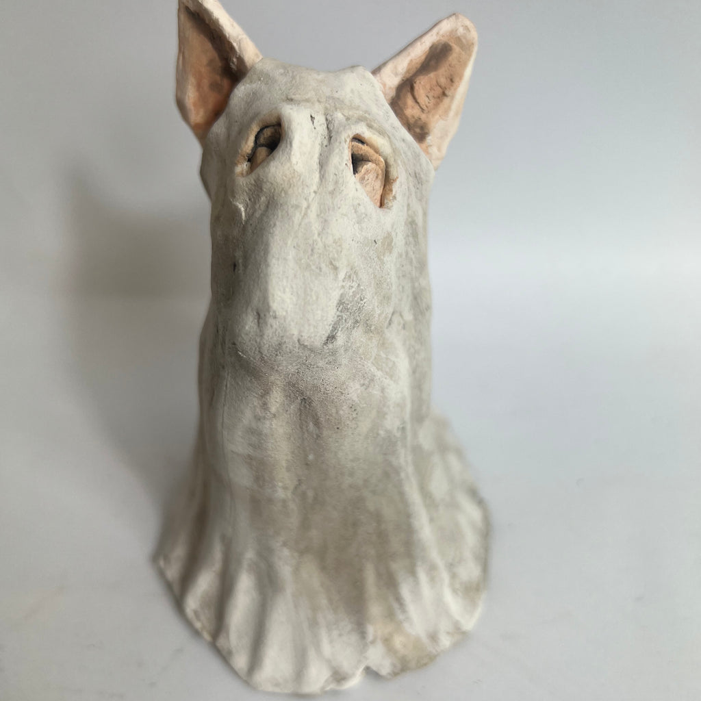 Bully in spooky ghost costume