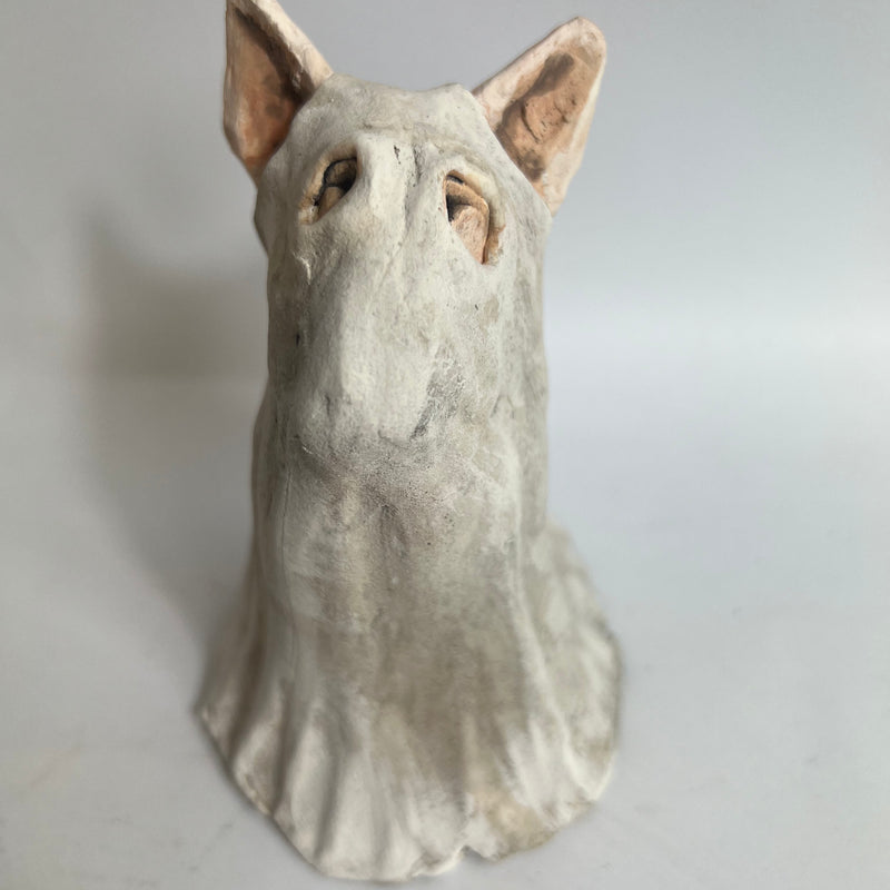 Bully in spooky ghost costume