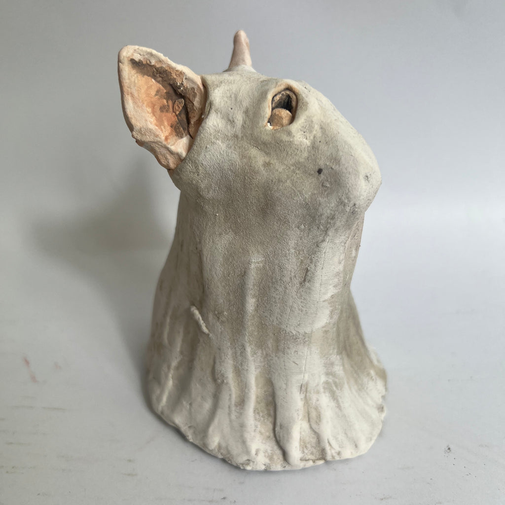 Bully in spooky ghost costume