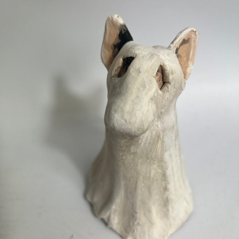 Bully in spooky ghost costume