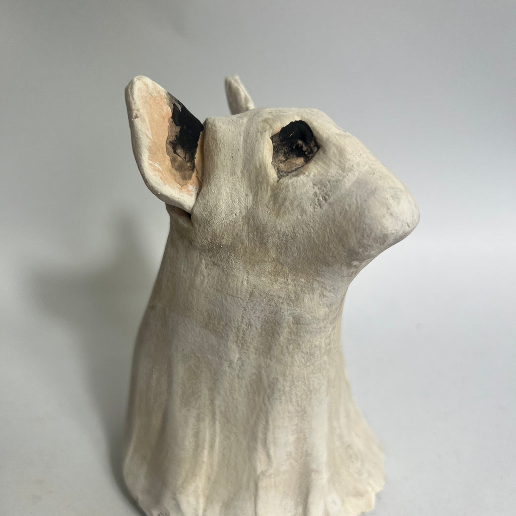 Bully in spooky ghost costume