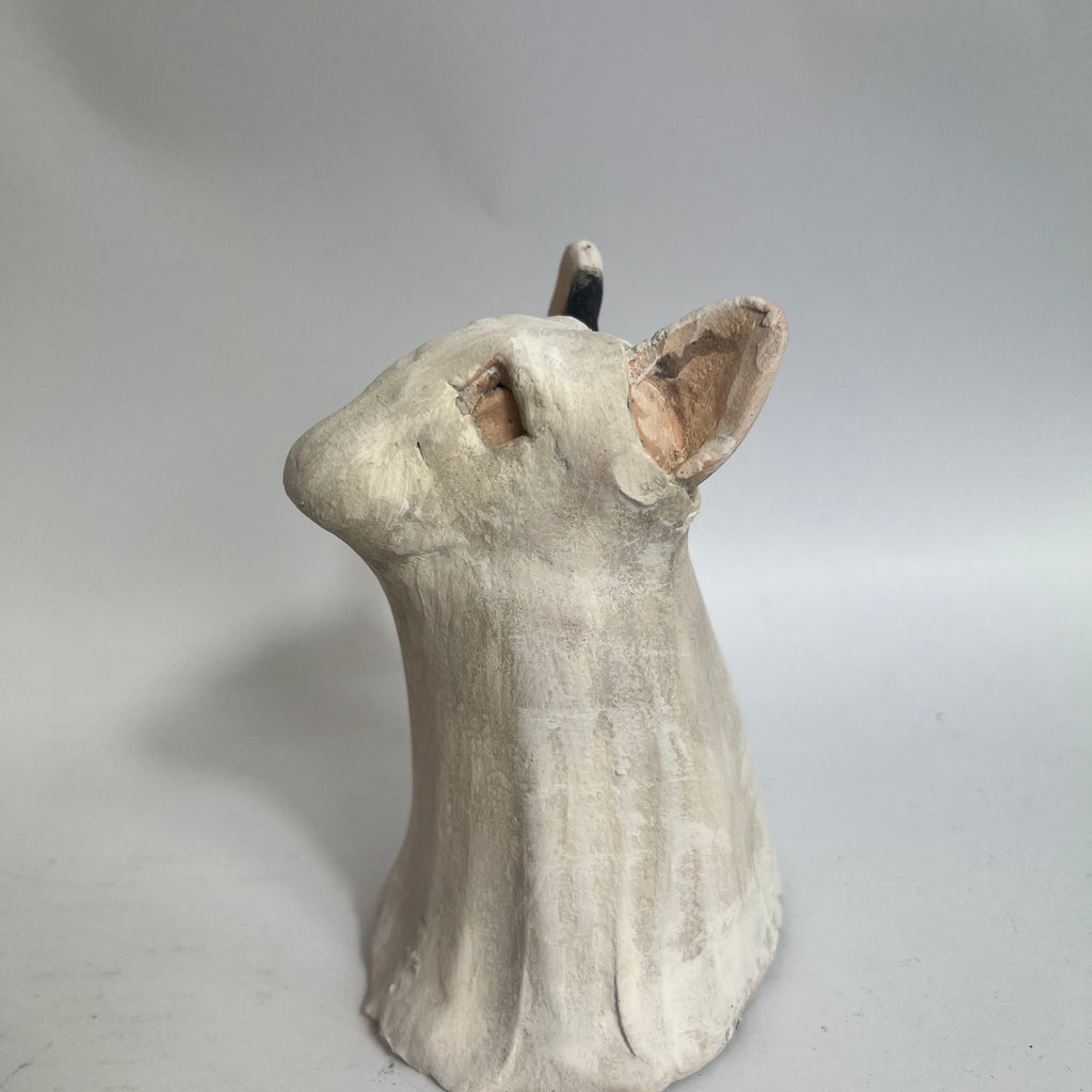 Bully in spooky ghost costume