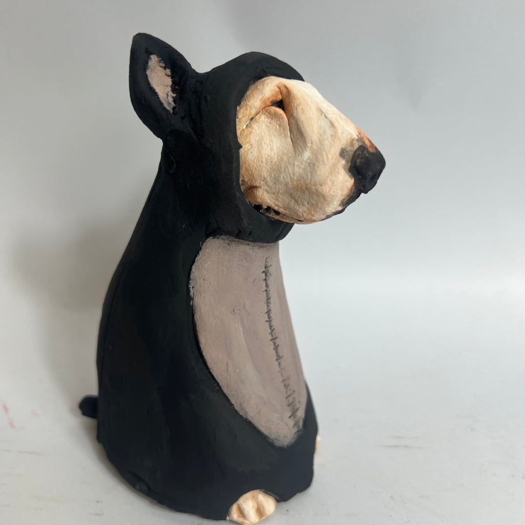 Bully in cat costume