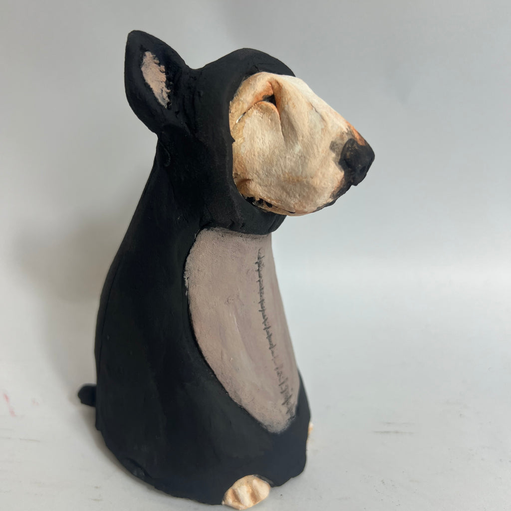 Cat bully made to order