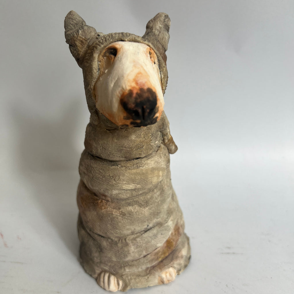 Bully in mummy costume