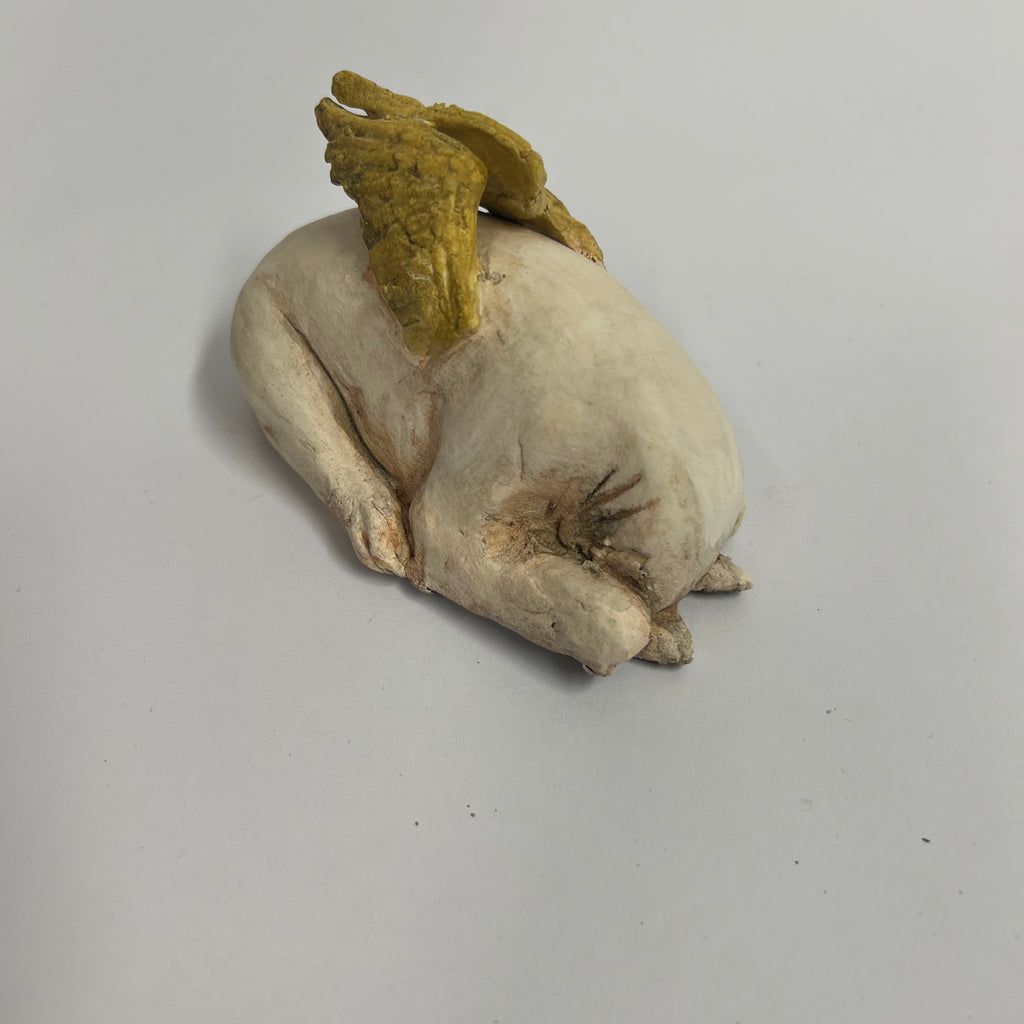 Angel tuck bull terrier