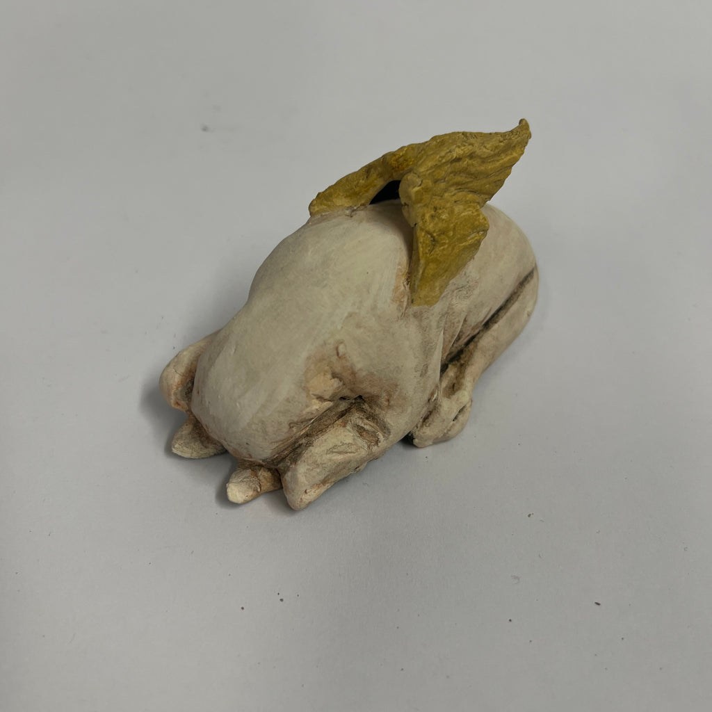 Angel tuck bull terrier