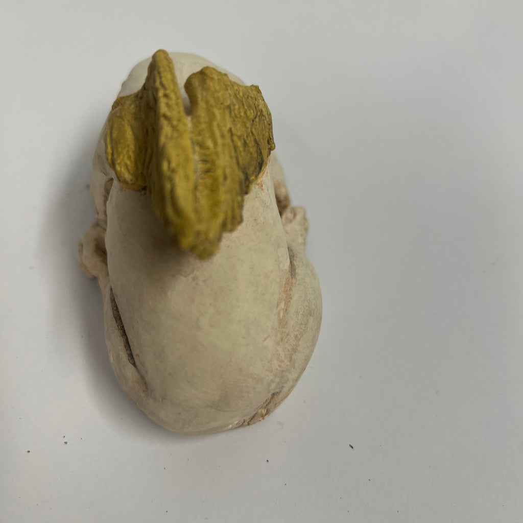 Angel tuck bull terrier