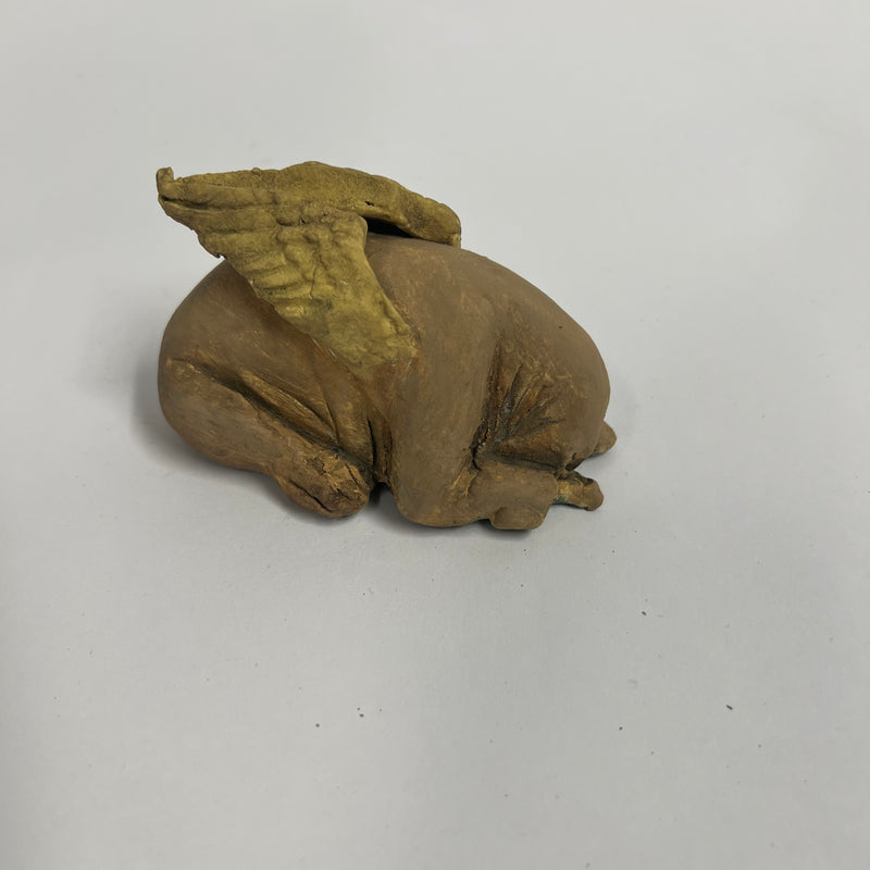 Angel tuck bull terrier