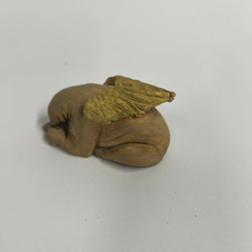 Angel tuck bull terrier