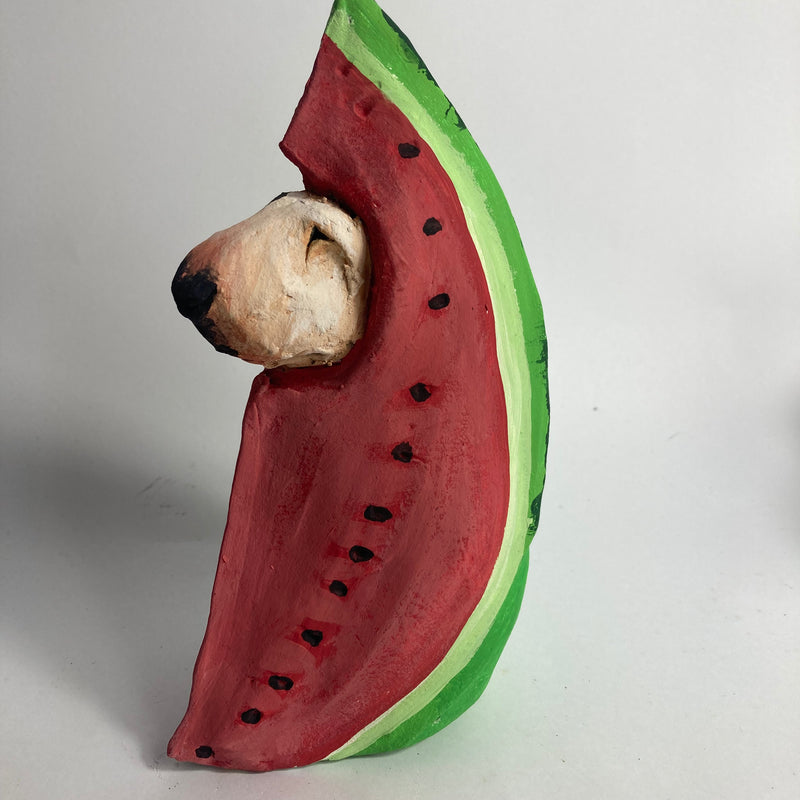 Summer refreshment bully - watermelon slice