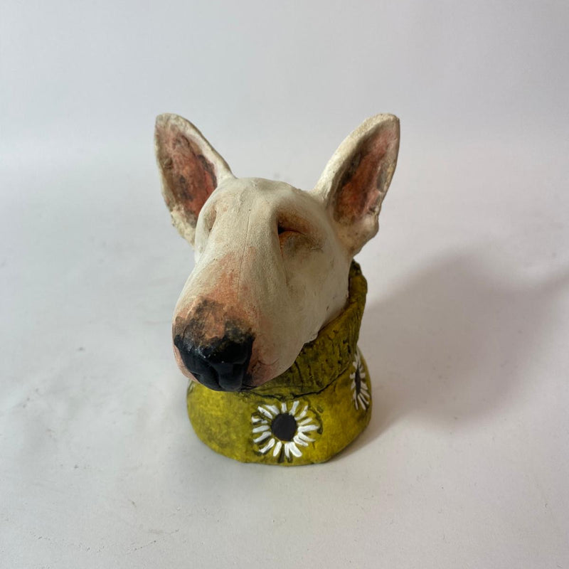 Spring flower jumper bully