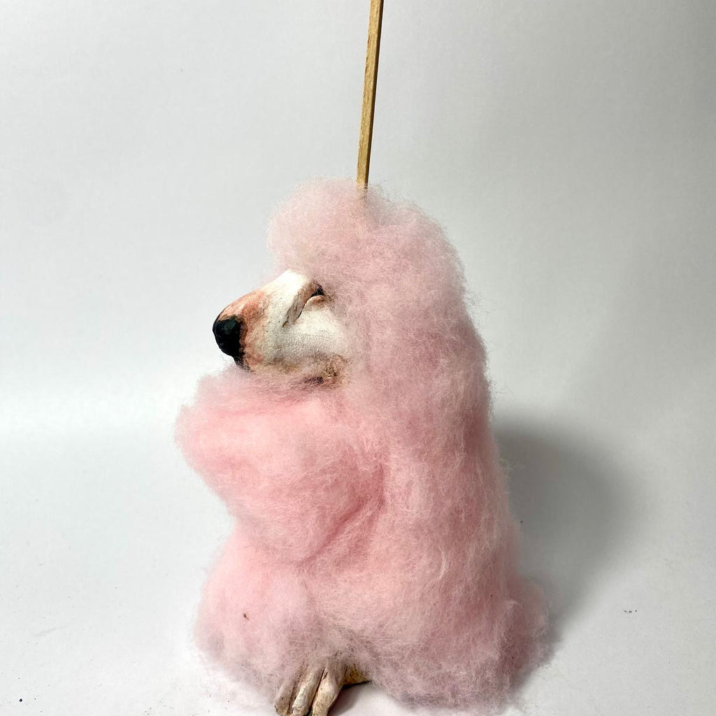 Buffoonery candyfloss