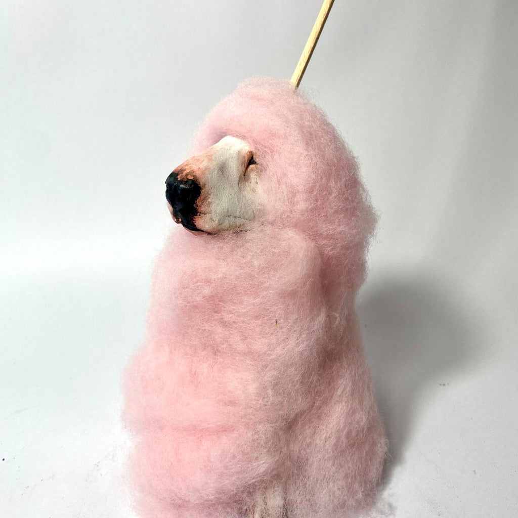 Buffoonery candyfloss
